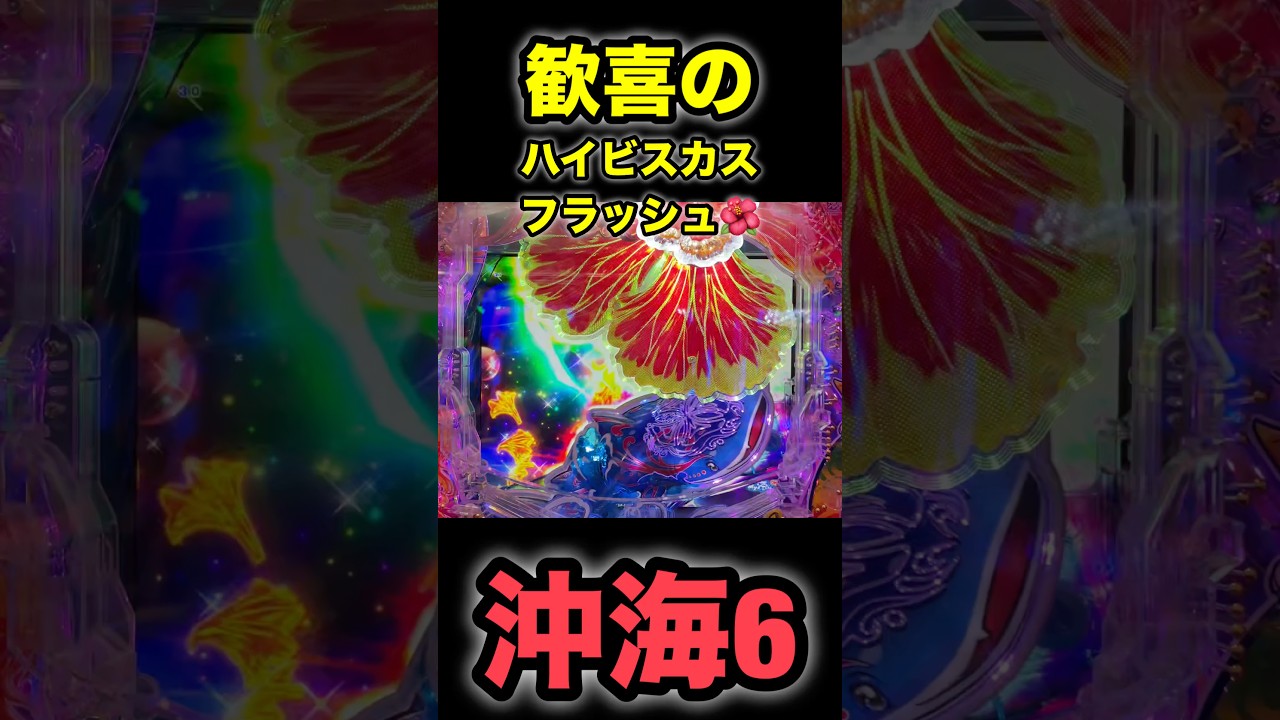 沖海6】歓喜のハイビスカスフラッシュ🌺 #海物語 #ぱちぱちtv