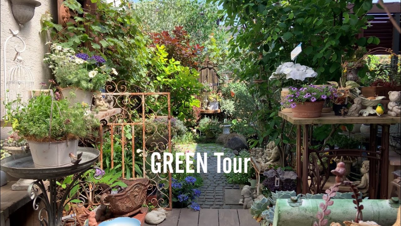 自宅のお庭がガーデニングショップ！薔薇とクレマチス満開！ワンダー