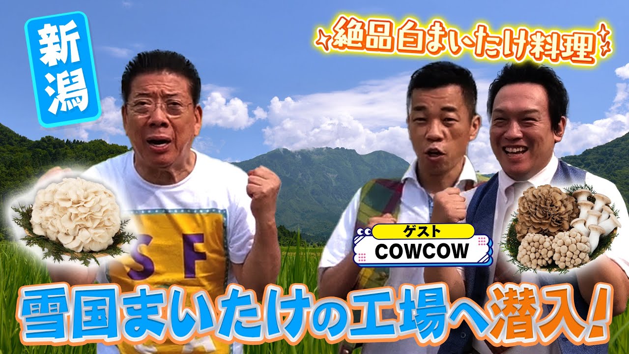 郷ひろみ 芸能生活は「雪国まいたけ」風 - YouTube