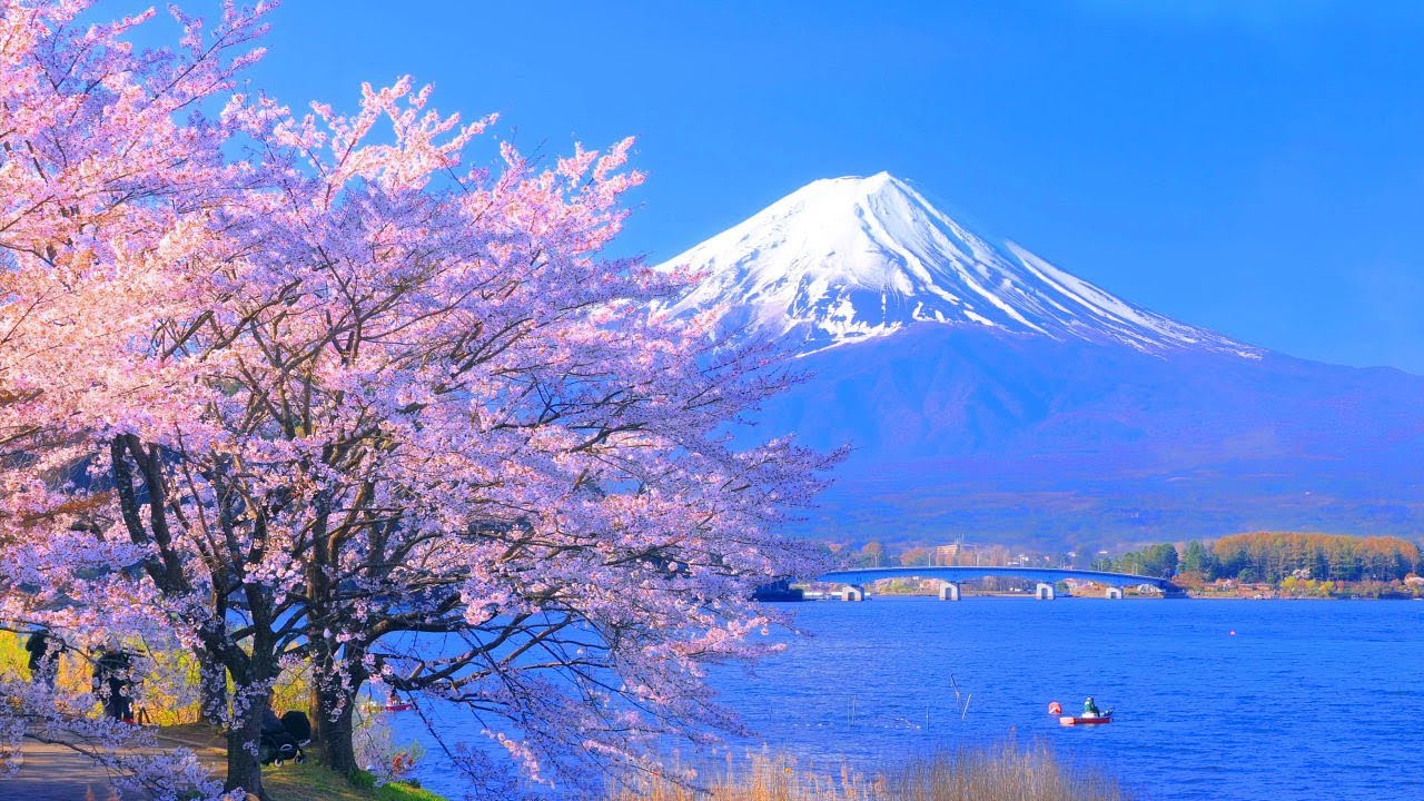 Nature_Relaxation_4K_Japan - YouTube