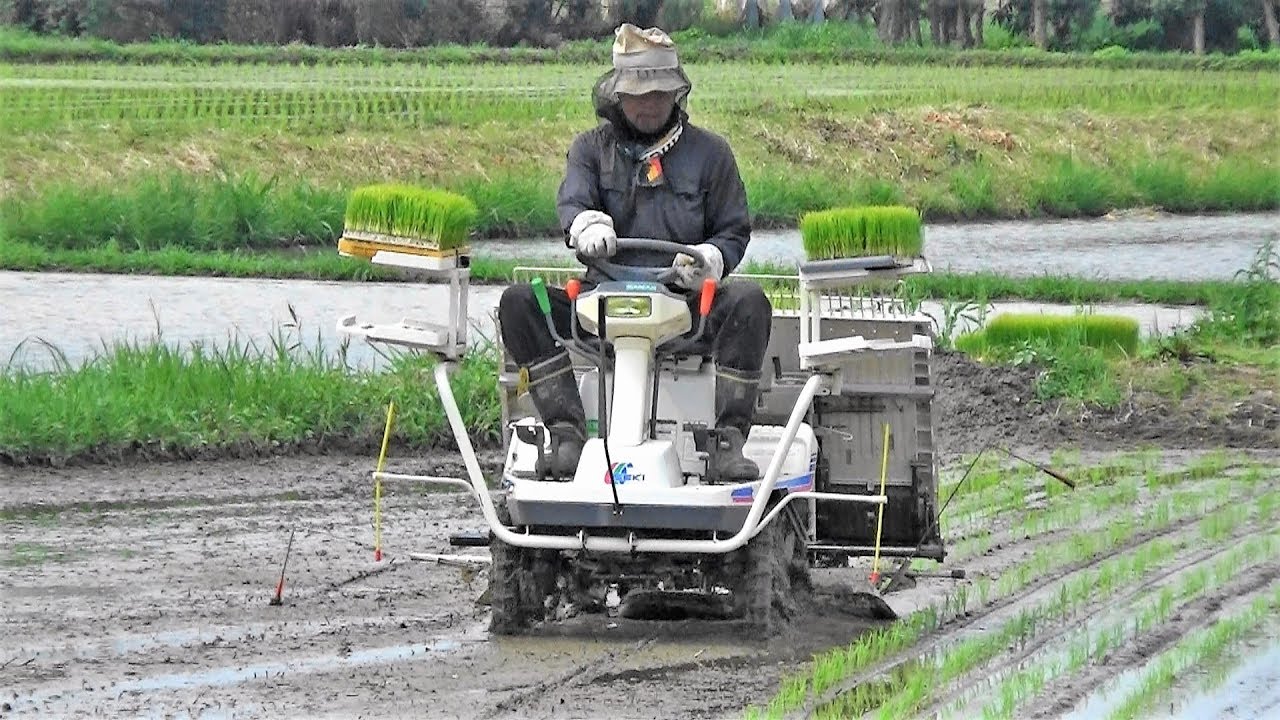 田植機】「イセキ LOVELY mini 40」 名子の田んぼ2019令和元年6