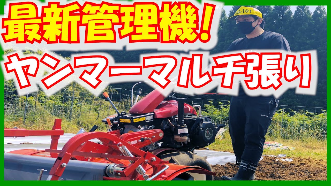 Summer Vegetable Edition Start #1] Professional Mulch Installation