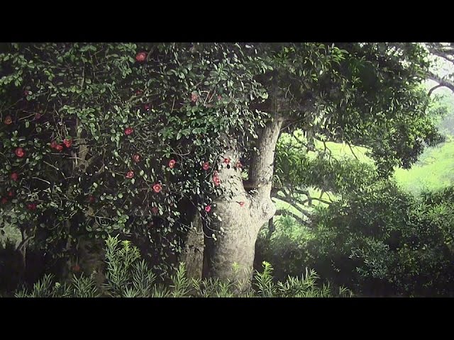 大畑稔浩さんの作品 ホキ美術館 3つの個性 ─ 表現の可能性を探る