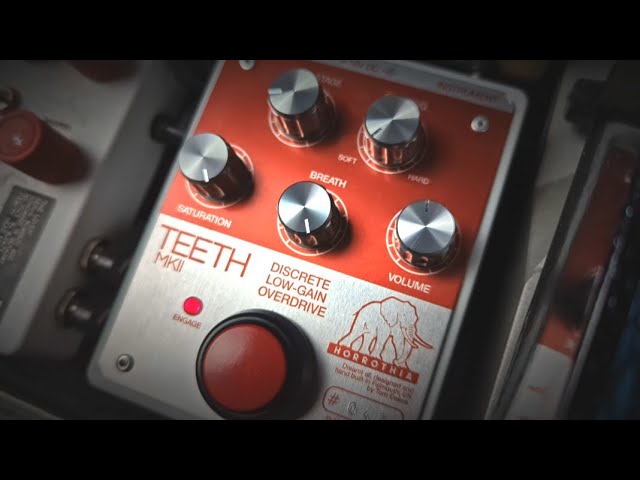 JustPerfection.- Horrothia TEETH Low Gain Overdrive/Preamp