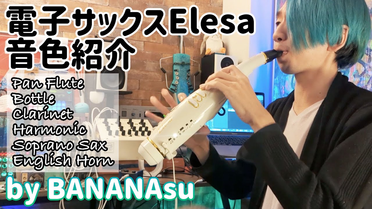 電子サックス・Elesa10 | ファインアシスト｜Fine Assist