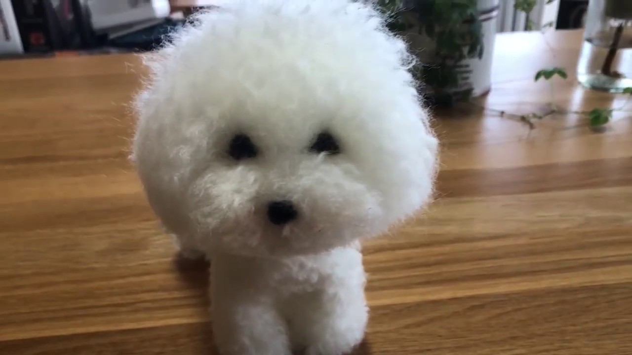 ビジョン・フリーゼを作ったょ☆｜羊毛フェルト【羊毛フェルトJOY