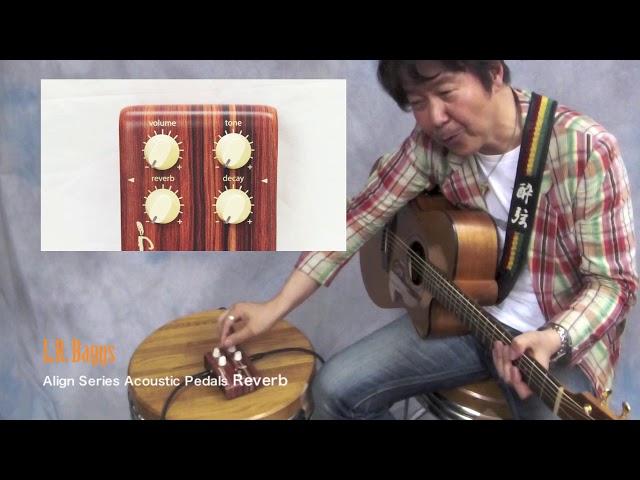 AGB47：新製品レビュー】L.R. Baggs / Align Series Acoustic Pedals