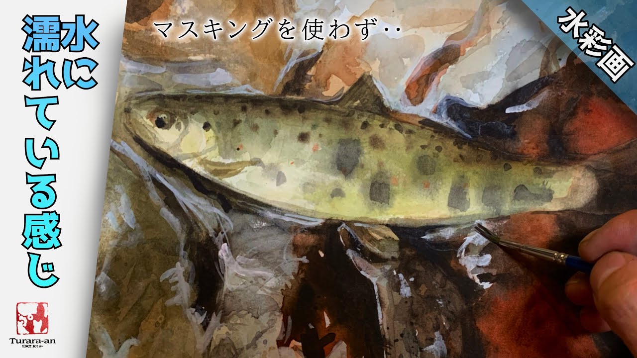 透明水彩画】濡れた水の表現！川魚（ヤマメ）を描く/描き方 つらら庵