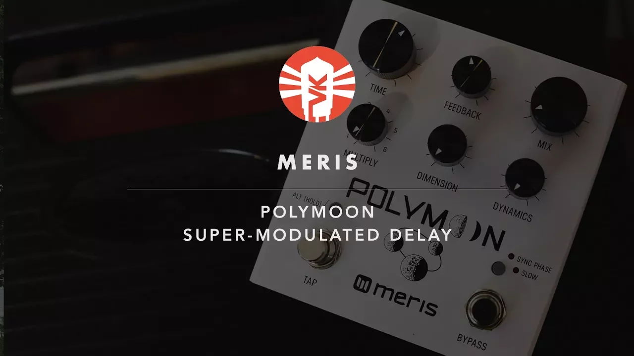 Meris Polymoon Modulated Delay Pedal - Vintage King