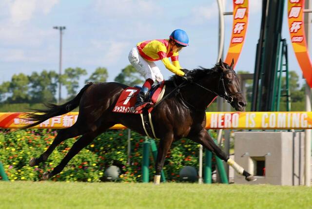 23年天皇賞・春覇者ジャスティンパレスが年内で引退 今後は天皇賞