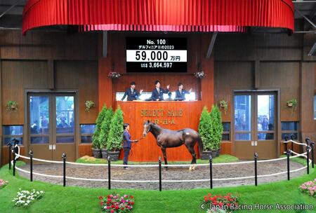 セレクトセール25】サイバーエージェント藤田晋社長がフォーエバー