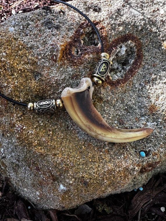 Norse Replica Grizzly Bear Claw Necklace - Etsy
