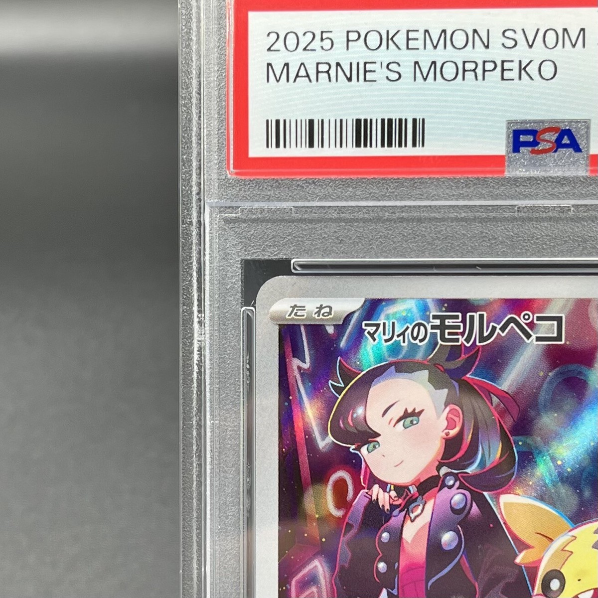 PSA 10 Marnie's Morpeko 020/019 SVOM Starter Set Promo Pokemon