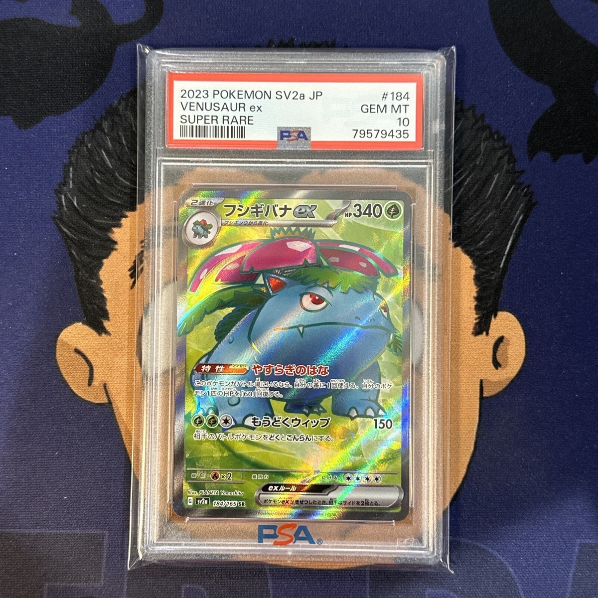 💎PSA 10 GEM MINT 2023 Pokemon Japanese SV2a 151 VENUSAUR EX #184