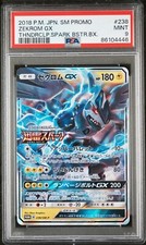 Zekrom GX #238/SM-P Prices | Pokemon Japanese Promo | Pokemon Cards
