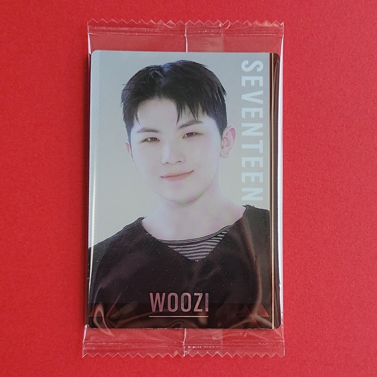 SEVENTEEN Photo card BANDAI wafer official Japan Limted SVT PC