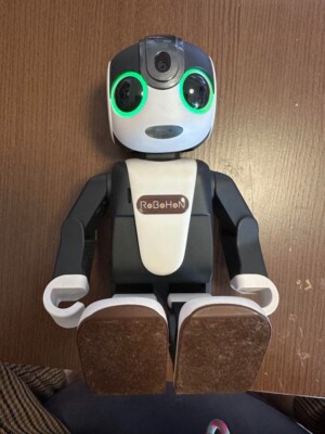 SHARP Robohon SR-03M-T Brown Pet Robot Popular Model | eBay