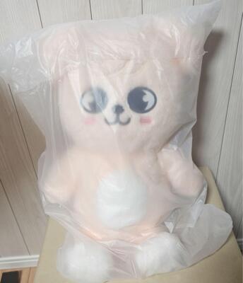 Stray Kids SKZOO Puppym Official Plush Teddy Bear Ver. 5'clock