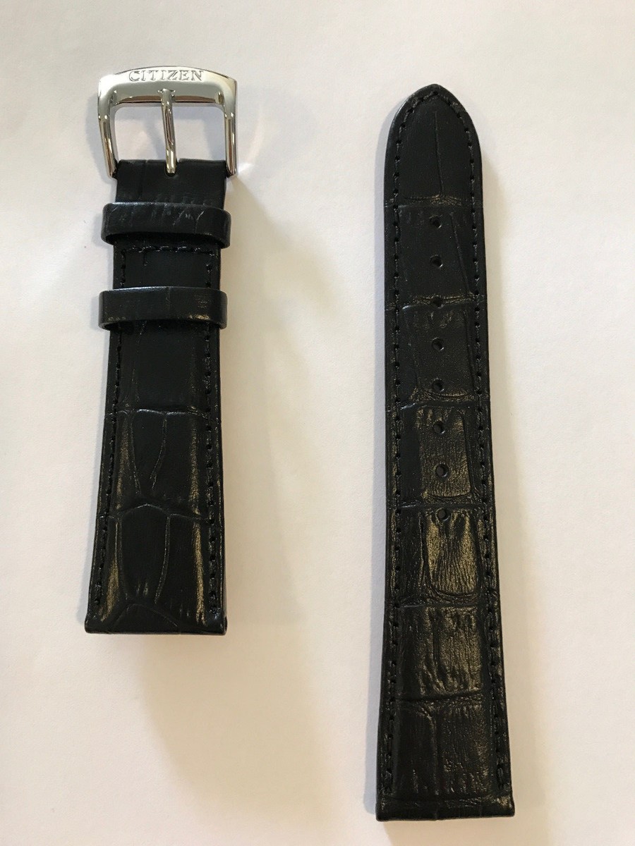 Citizen Eco-drive Ao9000-06b 22mm Black Leather Watch Band Strap