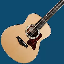 ✨Taylor Swift Fearless (Taylor's Version) Acoustic Guitar ✨ IN