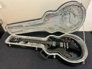 Epiphone Dot Case | eBay