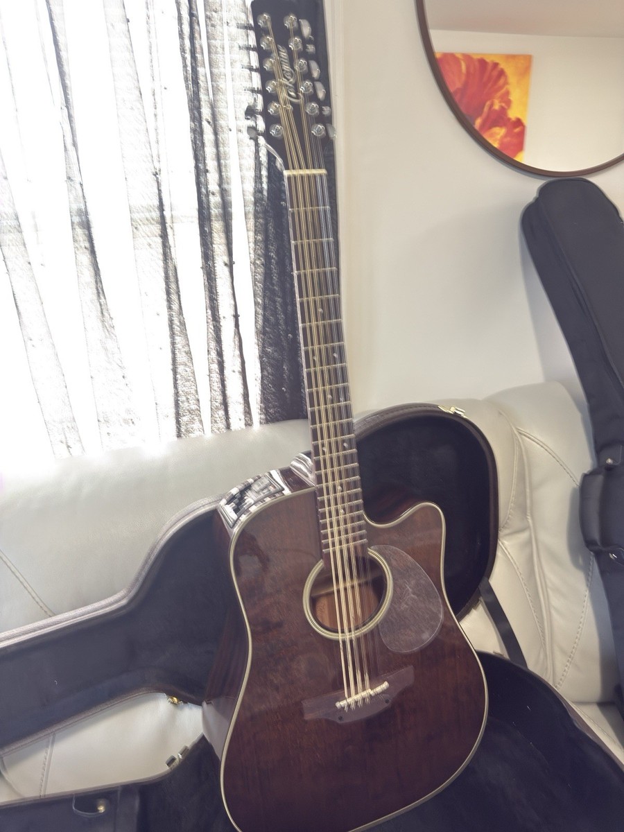 takamine 12 string guitar P1DC-12 * discontinued Rare Guitar * | eBay