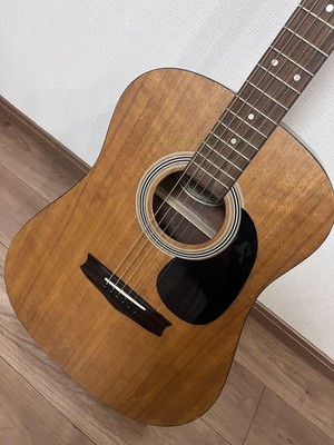 Acoustic Guitar Vantage VIS-1 Mahogany Natural | eBay