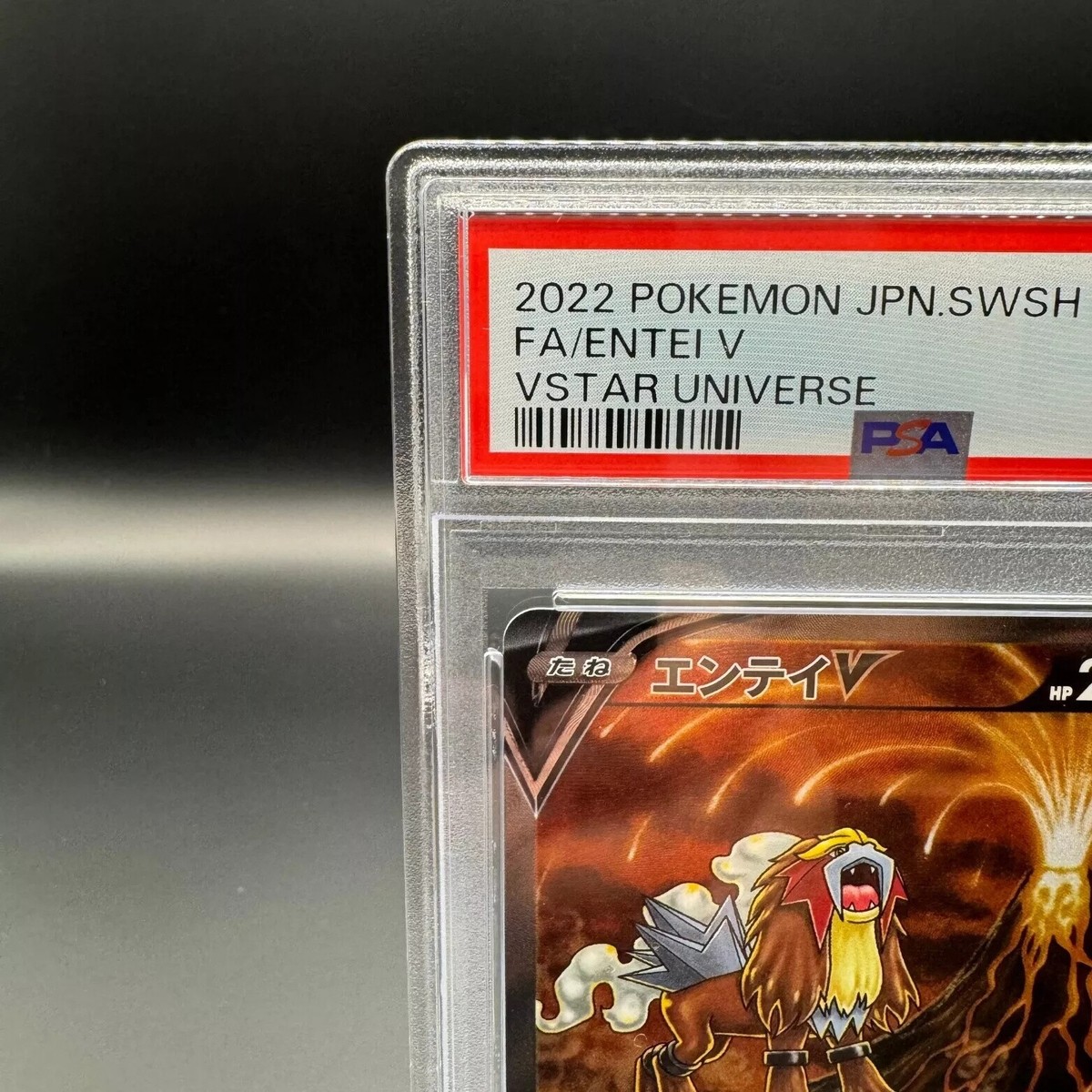 PSA 10 ENTEI V 213/172 SAR Vstar Universe Pokemon Card Japanese