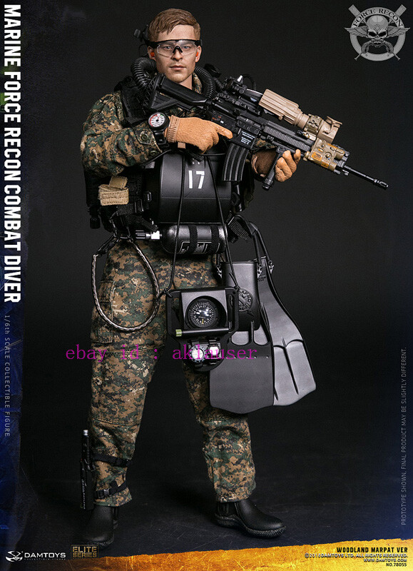 Damtoys 1/6 Dam78055 Us Marine Force Recon Combat Diver Woodland