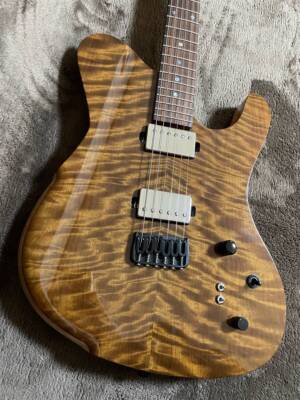 Electric Guitar Dragonfly Border 666 Gloss Natural Maple Neck with