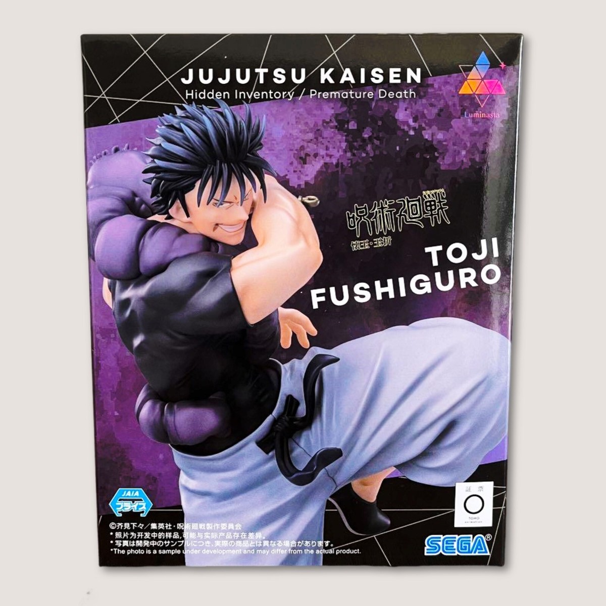 Jujutsu Kaisen Toji Fushiguro Luminasta Heavenly Restriction