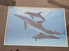 Bob Talbot Indiana Art Prints for sale | eBay