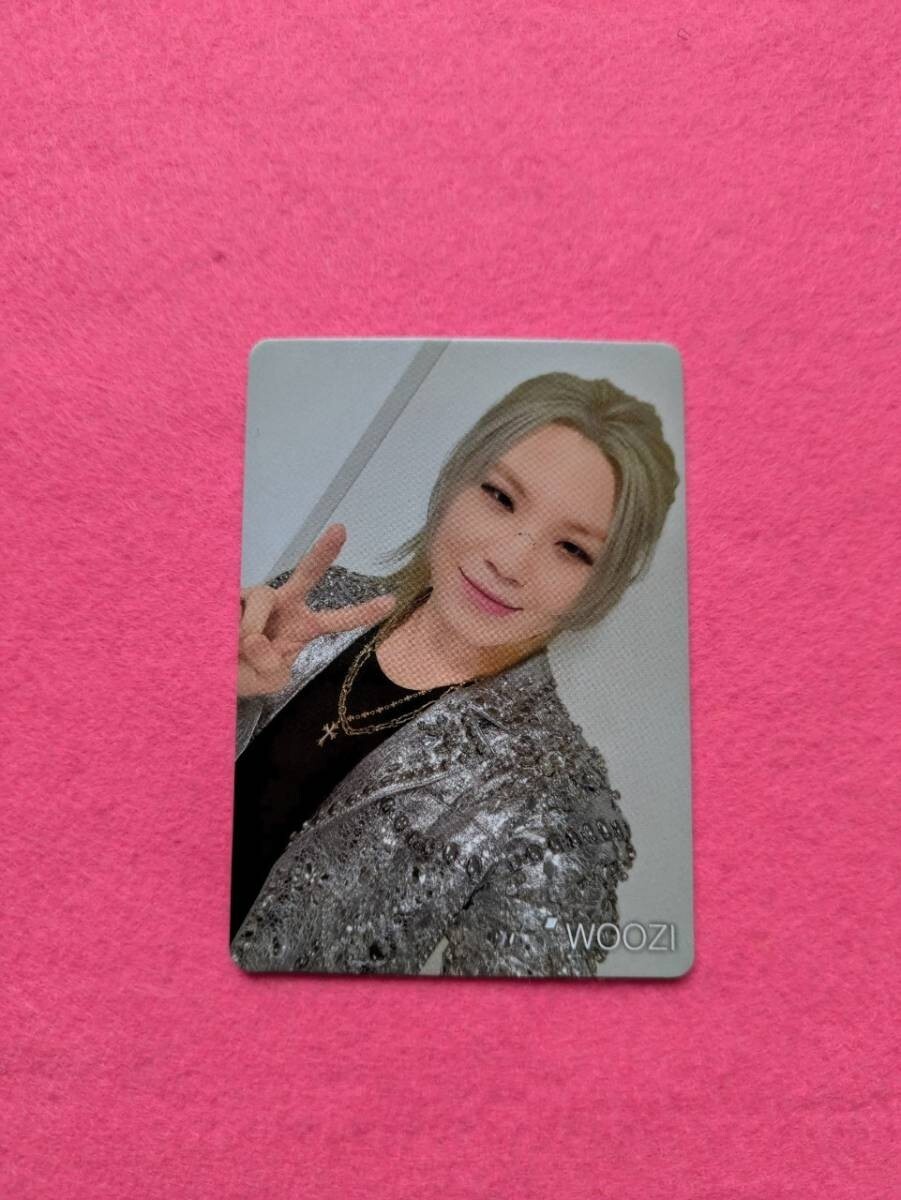 SEVENTEEN Japan official fanclub CARAT Mobile 2024 W Member