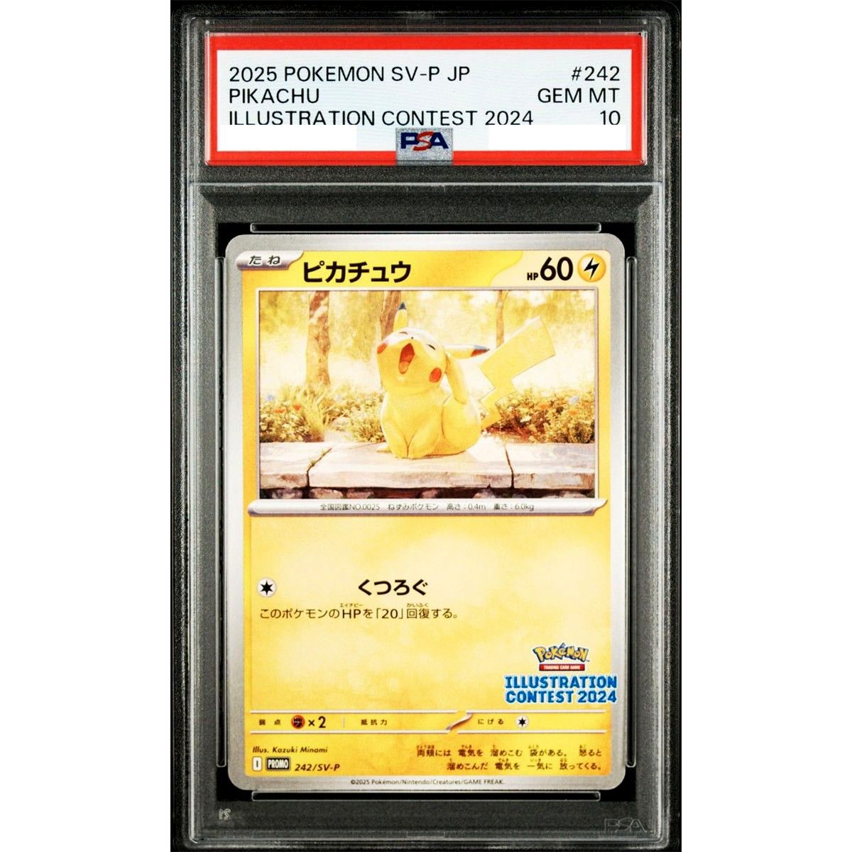 PSA 10 Pikachu Illustration Contest Promo 242/SV-P Pokemon Card
