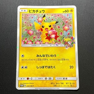Pikachu 224 Sm P | eBay