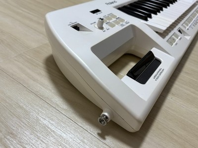 Roland AX-09 Lucina 37-Key Keytar Shoulder Keyboard Synthesizer