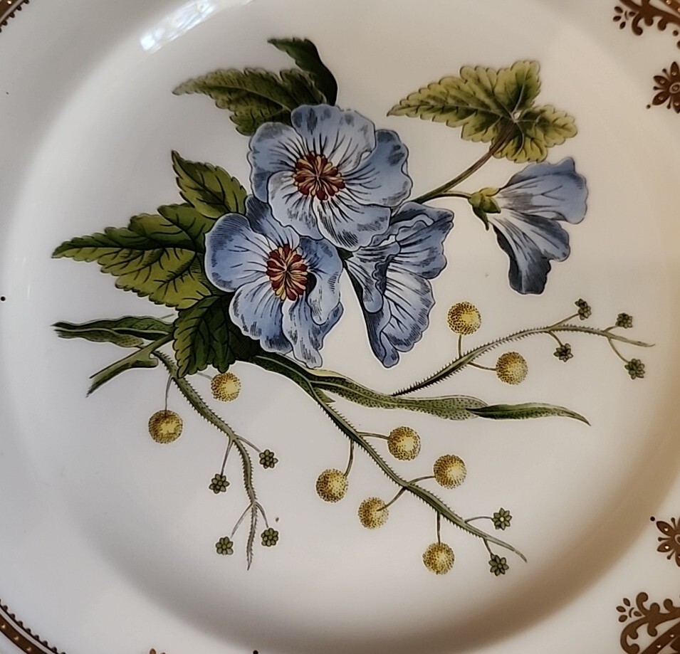 Spode Stafford Flowers Lida & Acacia 7