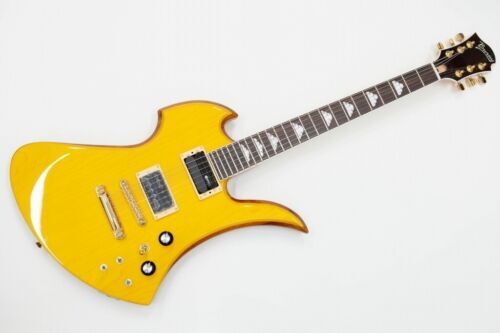 Fernandes APG-100 Electric Guitar Professional Series | eBay