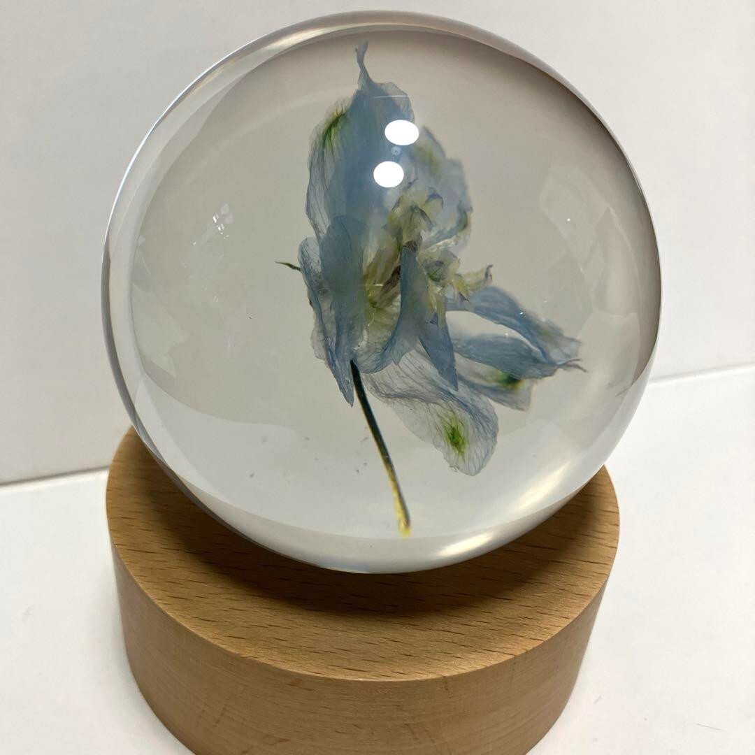 BTS Jimin Muse BLOOMING ver. Flower Paper Weight NEW item rare