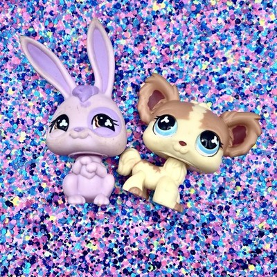Hasbro LPS Littlest Pet Shop Pet Pairs Rabbit Chihuahua Exclusive
