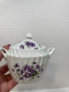 Aynsley Wild Violets | eBay