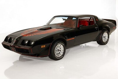 1980 Pontiac Firebird Trans Am 4.9 (Angle) 24 X 36 INCH Nice! | eBay