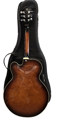 IBANEZ ARTCORE AF85 VLS-12-01 2006 Whit/Case | eBay