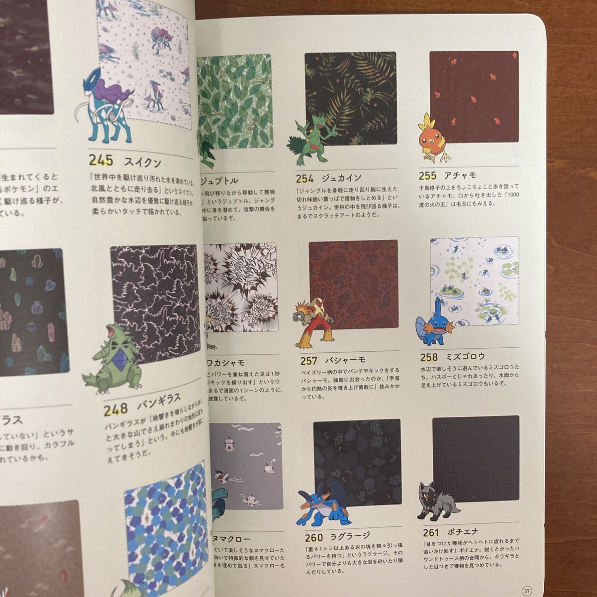 Pokemon Shirts MEMORIAL BOOK Art Book Illustration | eBay