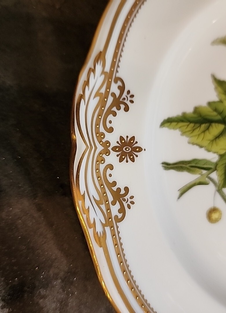 Spode Stafford Flowers Lida & Acacia 7