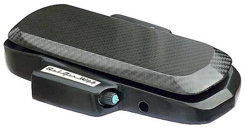 Roger Mayer Vision Wah | eBay