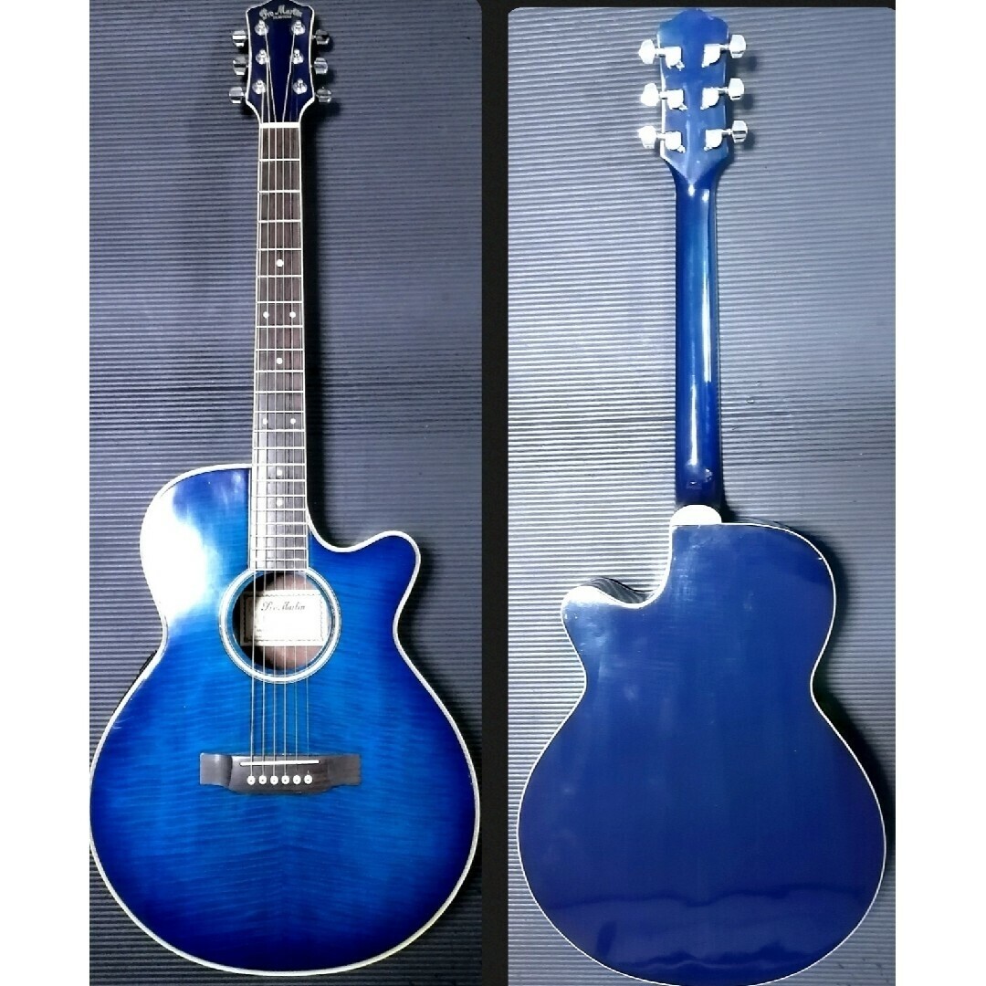 Pro Martin カスタム アコースティックギターPro Martin CUSTOM