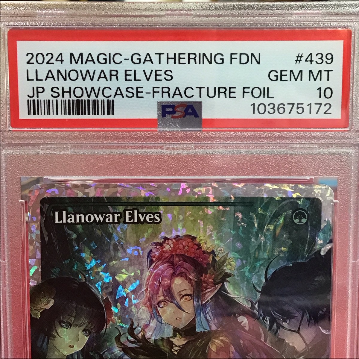 PSA 10 ~ 2024 MTG FDN #439 LLANOWAR ELVES JP SHOWCASE - FRACTURE