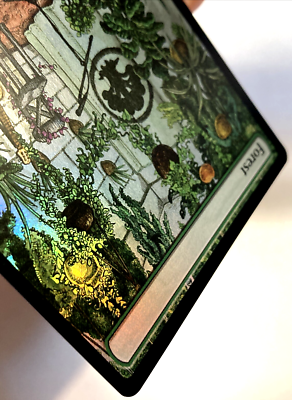 Forest (2080) (Rainbow Foil) Secret Lair Drop Foil for sale online