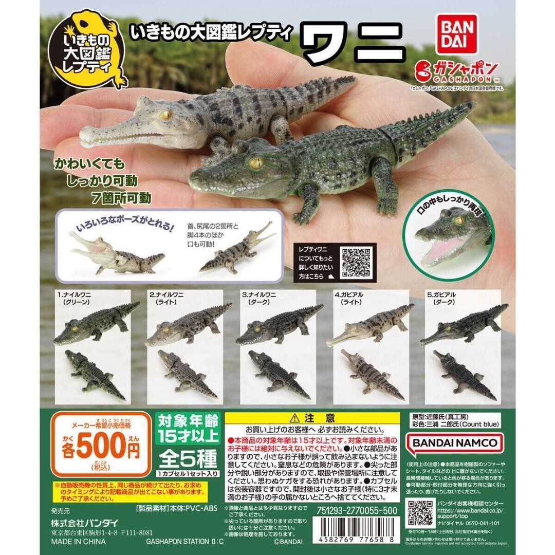 Bandai Ikimono encyclopedia Crocodile capsule toy 5 pcs/set | eBay